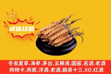 黄南河南县回收冬虫夏草